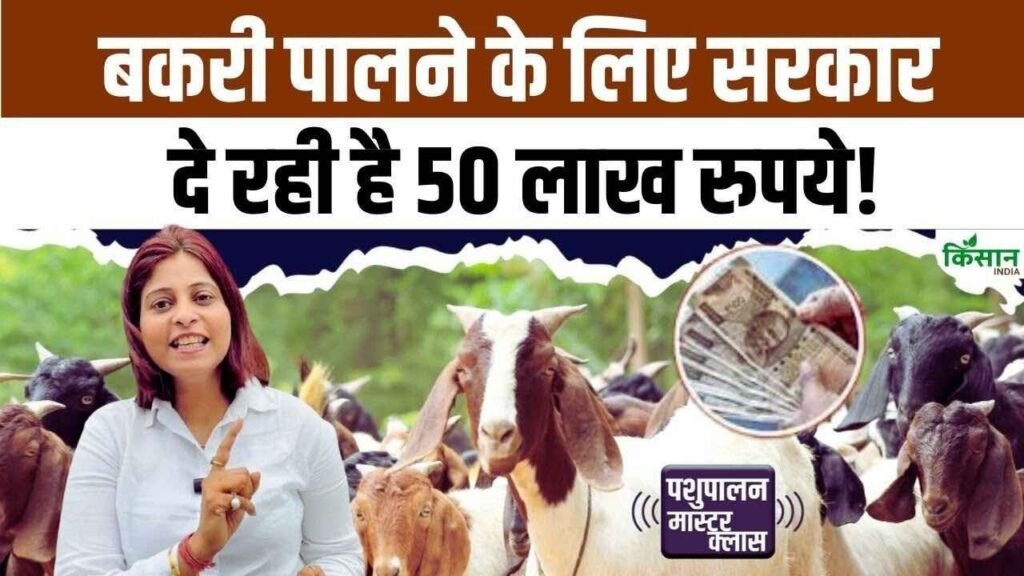 Goat Farming Subsidy Scheme 2026